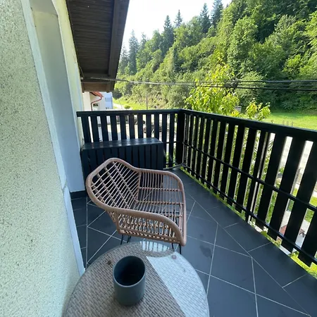 Rest Nest Apartment